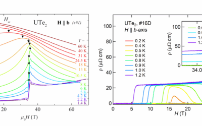 Magnetic field induced metamagnetism and superconductivity in UTe2
