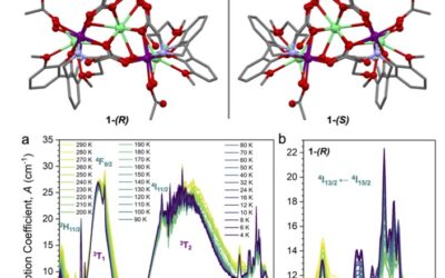 Key Role of Magnetic-Dipole Allowed Transitions in Magneto-Chiral Dichroism