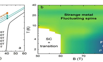 Impact des fluctuations de spin à basse énergie sur le métal étrange dans un cuprate supraconducteur