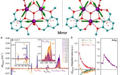 Magneto-Chiral Dichroism, a unique probe for toroidal spin states